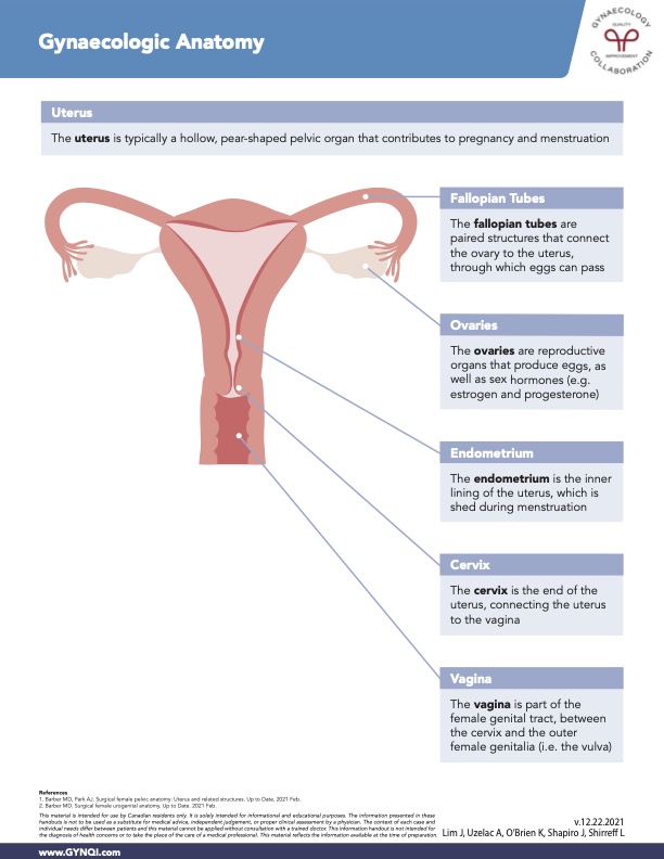 Gynaecologic Anatomy
