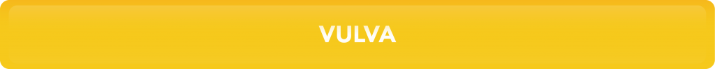 Vulva